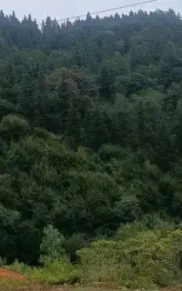 خط ۰۹۱۲/۶۴۰/۴۱۳۸