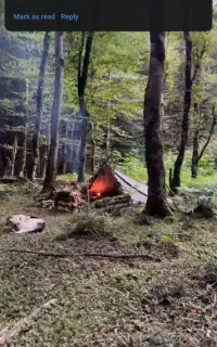 شب مانی کمپ