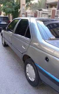 ۴۰۵ مدل ۹۱ دوگانه فابریک
