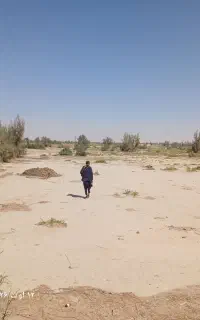 زمین ترمینال جدید