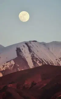خط تلفن ثابت بفروش میرسد