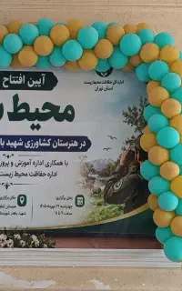 بادکنک تزئین شده