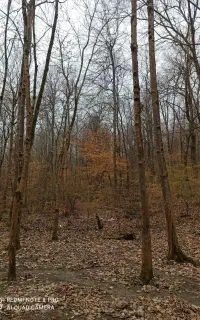 تور گردشگری