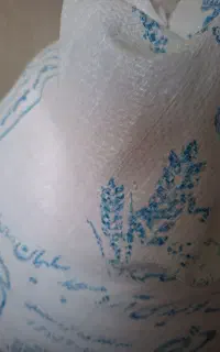 گونی