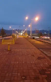 ورزش همگانی