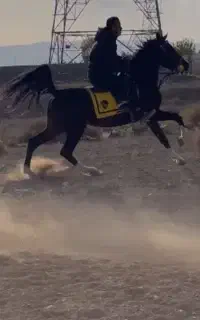 نریان ۳ سال سالار ۱
