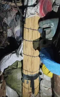 چیت