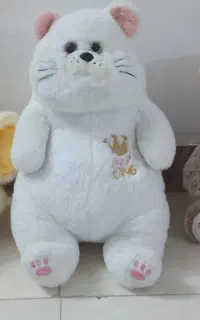 عروسک نو وتمیز