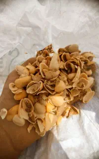 پوست پسته درجه دو