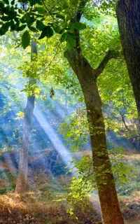 تور گردشگری  املاک گروه های ورزشی علمی تجاری