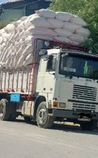 اف ۱۲ باری سینه سفید مدل ۸۰