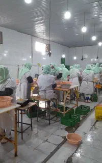 استخدام نیروی کار خانم