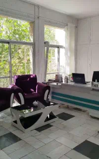 خانم حسابدار