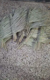 جارو دستی