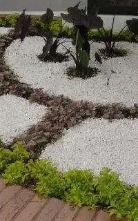 علف زنی وهرس وبرش درخت