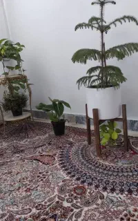 استند