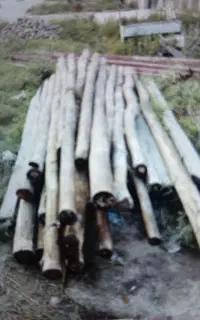 چوب مناسب سقف