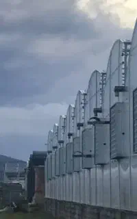 فروش لوازم مرغداری