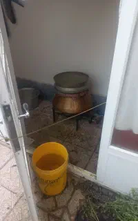 عرق شاهسپران