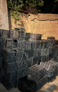 سبد سیر