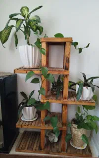 استندگل‌