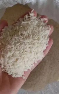 برنج علی کاظمی درود