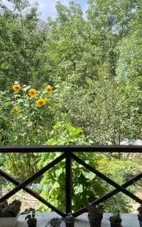 اجاره ویلاباغ شبانه روز