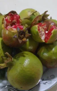 انار ترش رودبار
