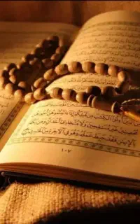 زاغ ودعاتضمینی جواب نگرفتی دوبرابرپولت برگشت میدم