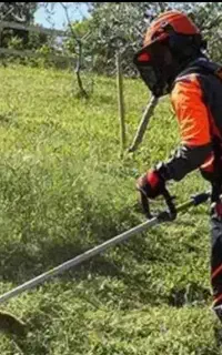 علفتراشی وسمپاشی