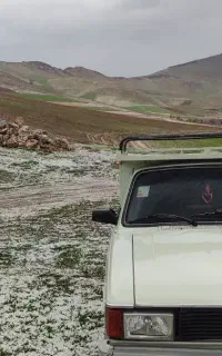 وانت کرایه