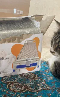 تشک برقی بادی طبی