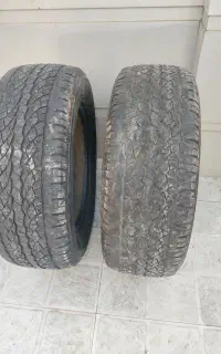 لاستیک تی ۸