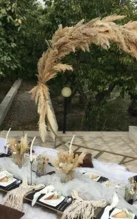 آرا نقش گیتی تشریفات