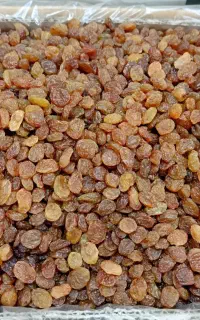 کشمش درجه یک صادراتی