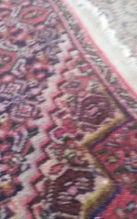 پادری بیجار