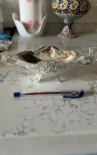 شکلات خوری سیلور