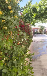 یک خانم جهت کار در کافه رستوران