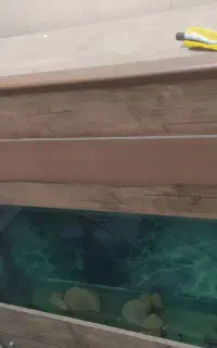 آکواریوم