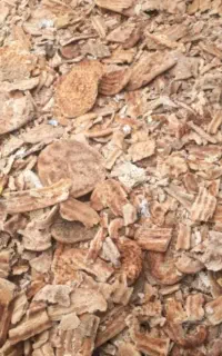 نان خشک درجه یک