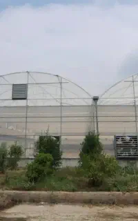 کارگر گلخانه خانم