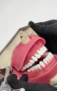 آموزش دندانپزشکی