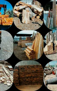 چوب وتخته دادرس وخرید انواع چوب گردو.چنار