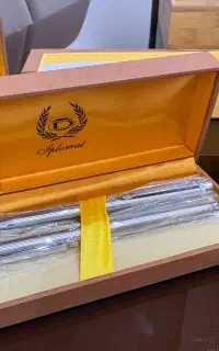 ست خودنویس و خودکار دیپلمات