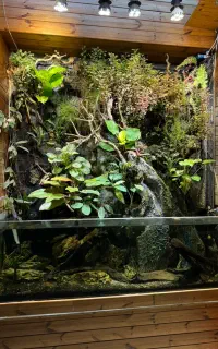 هدیه ماندگار تراریوم.پالاداریوم.گل و گیاه طبیعی