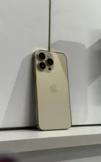 13 pro