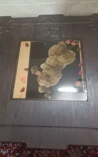 جلو مبلی با چهار عدد عسلی
