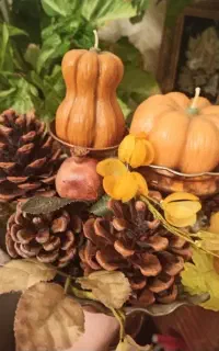 شمع های زیبای من