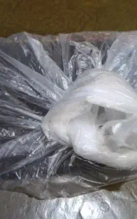 گمشده