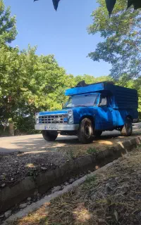 باربری